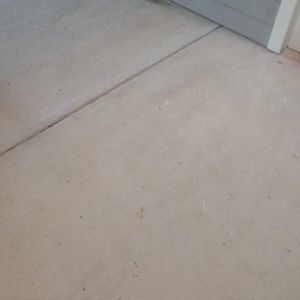 Meet your Posher, Otis